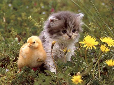 super cette photo!!